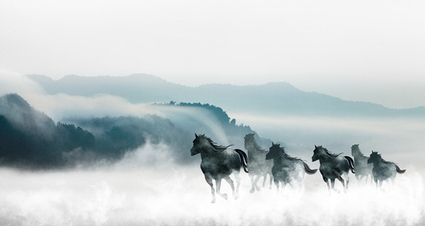 企業(yè)戰(zhàn)略規(guī)劃：為企業(yè)制定全面、長(zhǎng)遠(yuǎn)的發(fā)展戰(zhàn)略