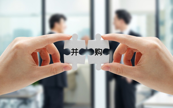 戰(zhàn)略投資與并購(gòu)：拓展企業(yè)規(guī)模，增強(qiáng)市場(chǎng)競(jìng)爭(zhēng)力