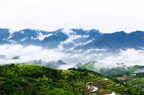 管理咨詢?nèi)绾沃刂萜髽I(yè)戰(zhàn)略規(guī)劃落地？